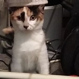 Meet your Posher, Jo